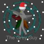 TheGreyGuy29