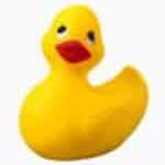 RoligDuck