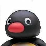 Pingu