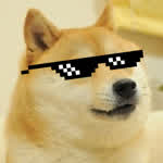 Doge0123