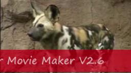 Movie maker 6.0 test