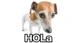 HOLa