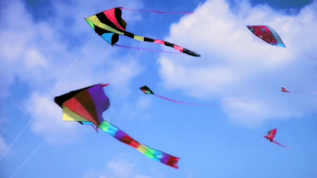 Kites