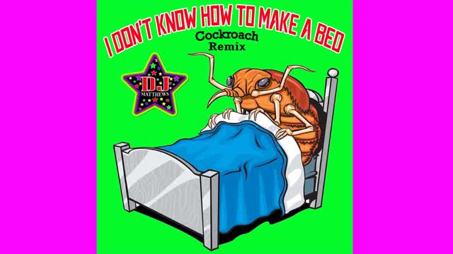 I DON'T KNOW HOW TO MAKE A BED - DJ MATTHEWS ( Cockroach Remix) Promo