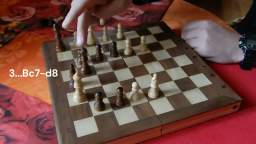 Peter Krug shows one of his chess study