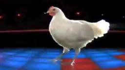 Techno Chicken