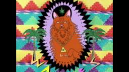 Wavves - Post Acid