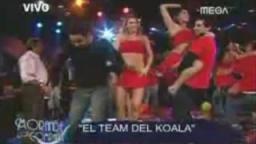 El baile del Koala otra putada