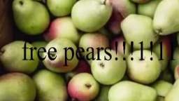 pears