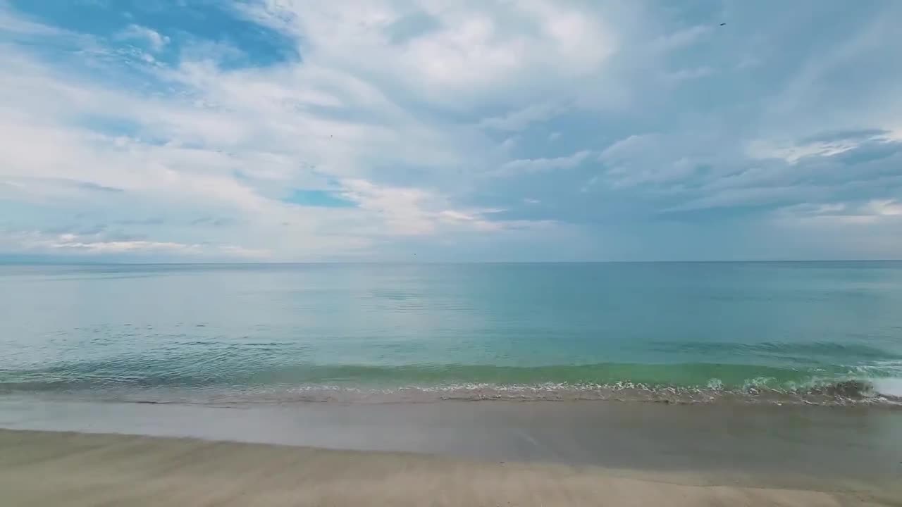 Playa y Naturaleza: Un Refugio de Paz