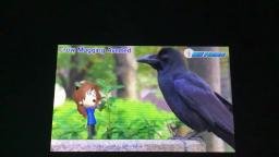 Crow Mugging Averted (Mii News 14/03/2021)