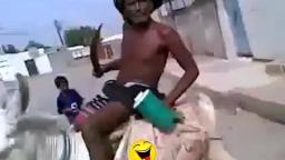 funny videos