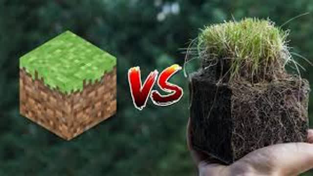 Minecraft Vs Real Life 3