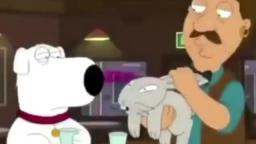 Racist bunny in family guy!!!!!!!?????!!!?!??!!??!!!?!