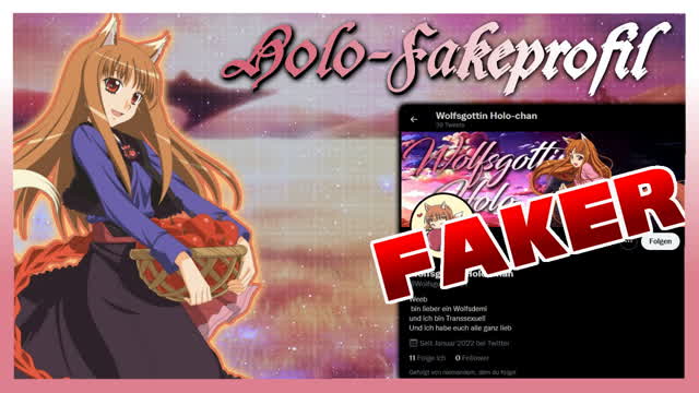 Fake-Profil von Holo auf Twitter - Lächerliche Kopie des Originals