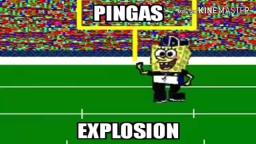 Pingas Explosion