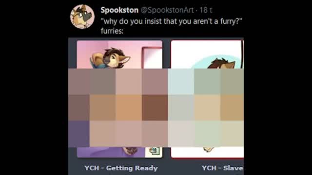 Spookston is not a furry (ORIGINAL)