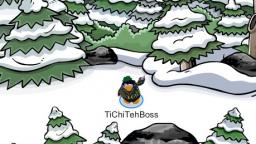 club penguin adventure? |club penguin