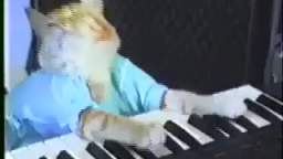 Charlie Schmidt's Keyboard Cat! - THE ORIGINAL!