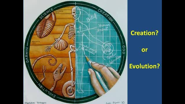 Evolution VS. Creation Part 5