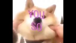 Cute_dog_1.mp4 (Loudest Earrape Ever)