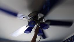 Hampton Bay Cameron ii Plus ceiling fan