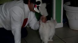 Zacharie Neko Boy Loves Cats