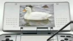 hello_everyone_its me patito cuack cuack in Nintendo Ds cuack cuack