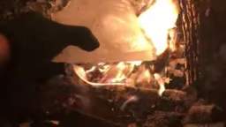 DOES ICE BURN!?! [SCIENTALOGICIAL EXPERIMENTATION] #shorts