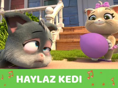 44 Kedi Haylaz Kedi Şarkısı