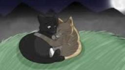 CrowFeather X LeafPool