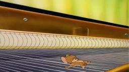 Tom & Jerry: The Cat Concerto