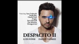 Despacito - Le Finale