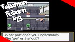 THE SUSPICIOUS DAY CARE CENTER - Pokemon Reborn Episode 13