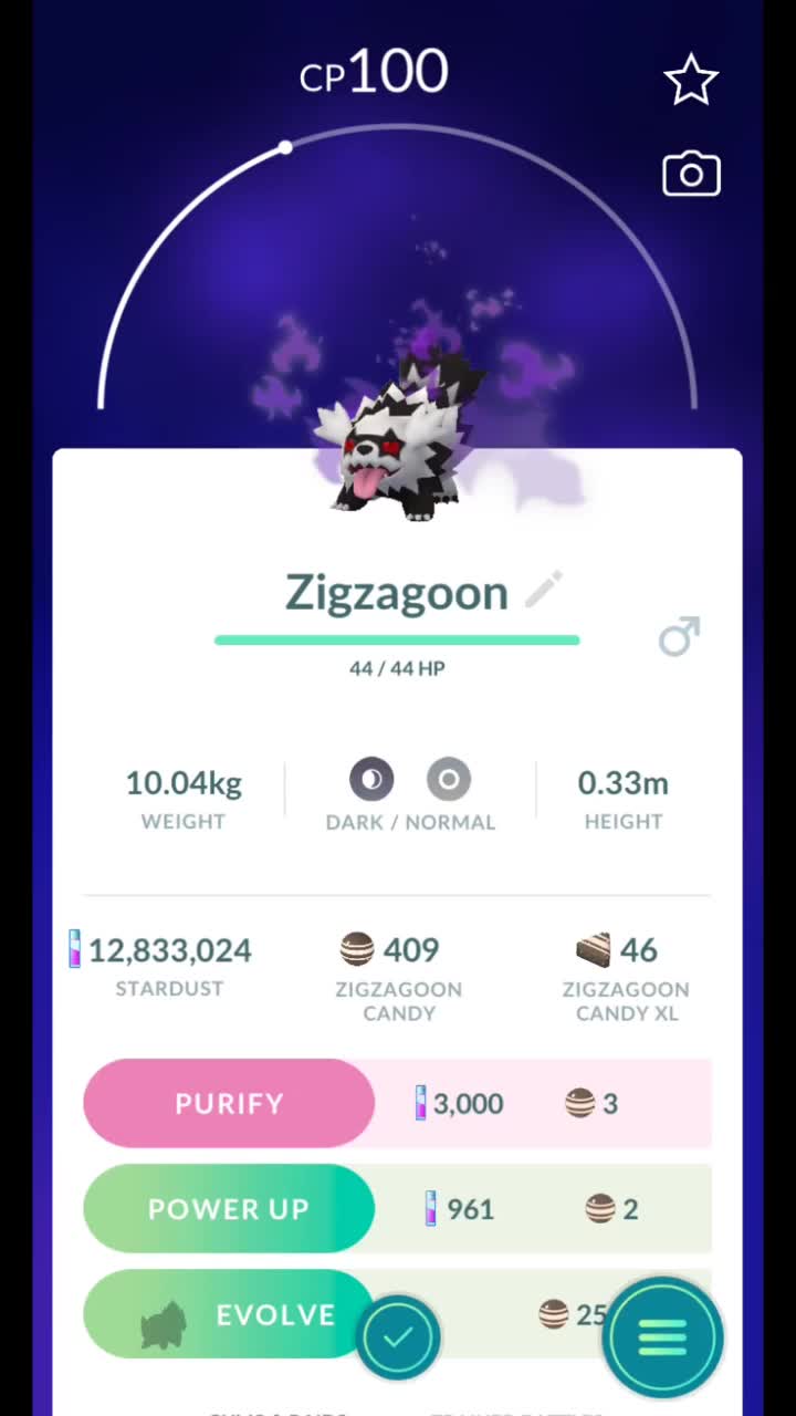 Pokémon GO-Purifying Shadow Galarian Zigzagoon