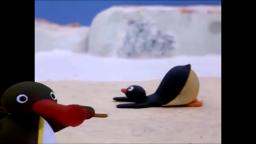 Pingu