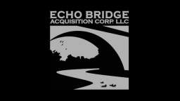 Echo Bridge Acquisition Corporation (2016)