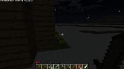 Walking through the night world of Minecraft.