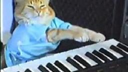 Charlie Schmidt"s Keyboard Cat!