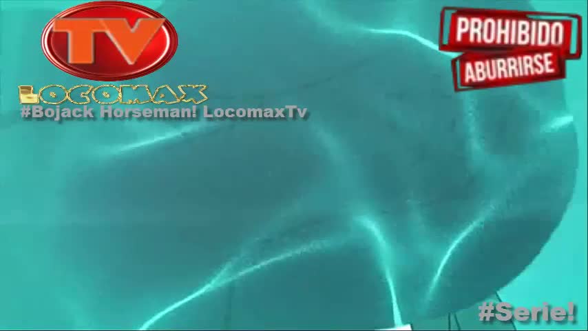 LocomaxTv Bolivia Anime Enero 2025