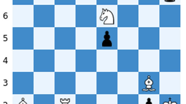 Chess study got 1.hm in 2011 – Video by Peter Siegfried Krug