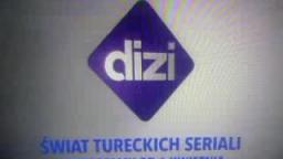 Dizi