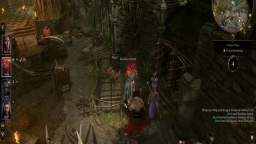 Baldur's Gate 3(Good)-Trying To Save The Little Bear