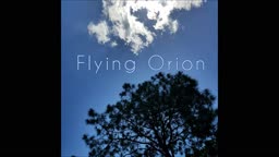 Flying Orion - Frost Forest Village