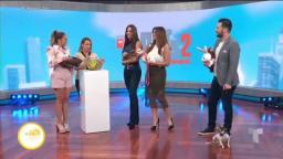 El día de la mascota en Telemundo 2019