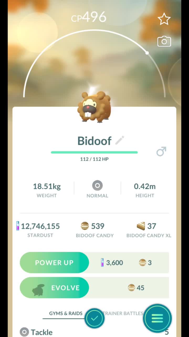 Pokémon GO-Purifying Shadow Bidoof