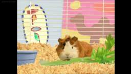 The Wonder Pets! - S1 E2 - Save the Tree! / Save the Elephant! - VidLii