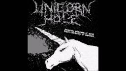 Unicorn Hole - Twenty pieces o' shit from twenty o' seven