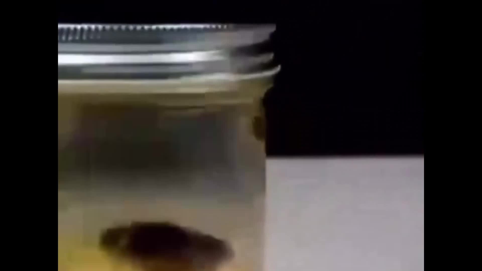 smoking weed in the jar