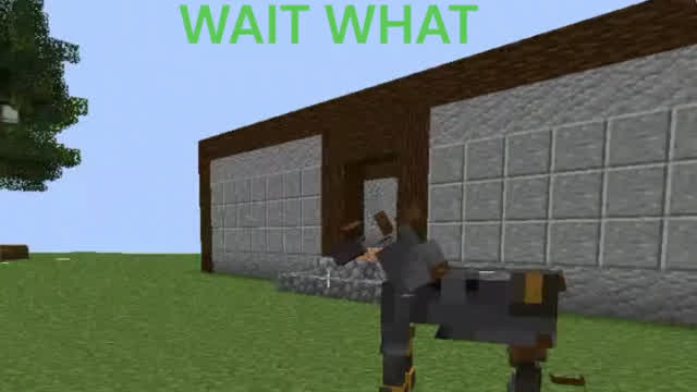 cursed minecraft 1.8 horse